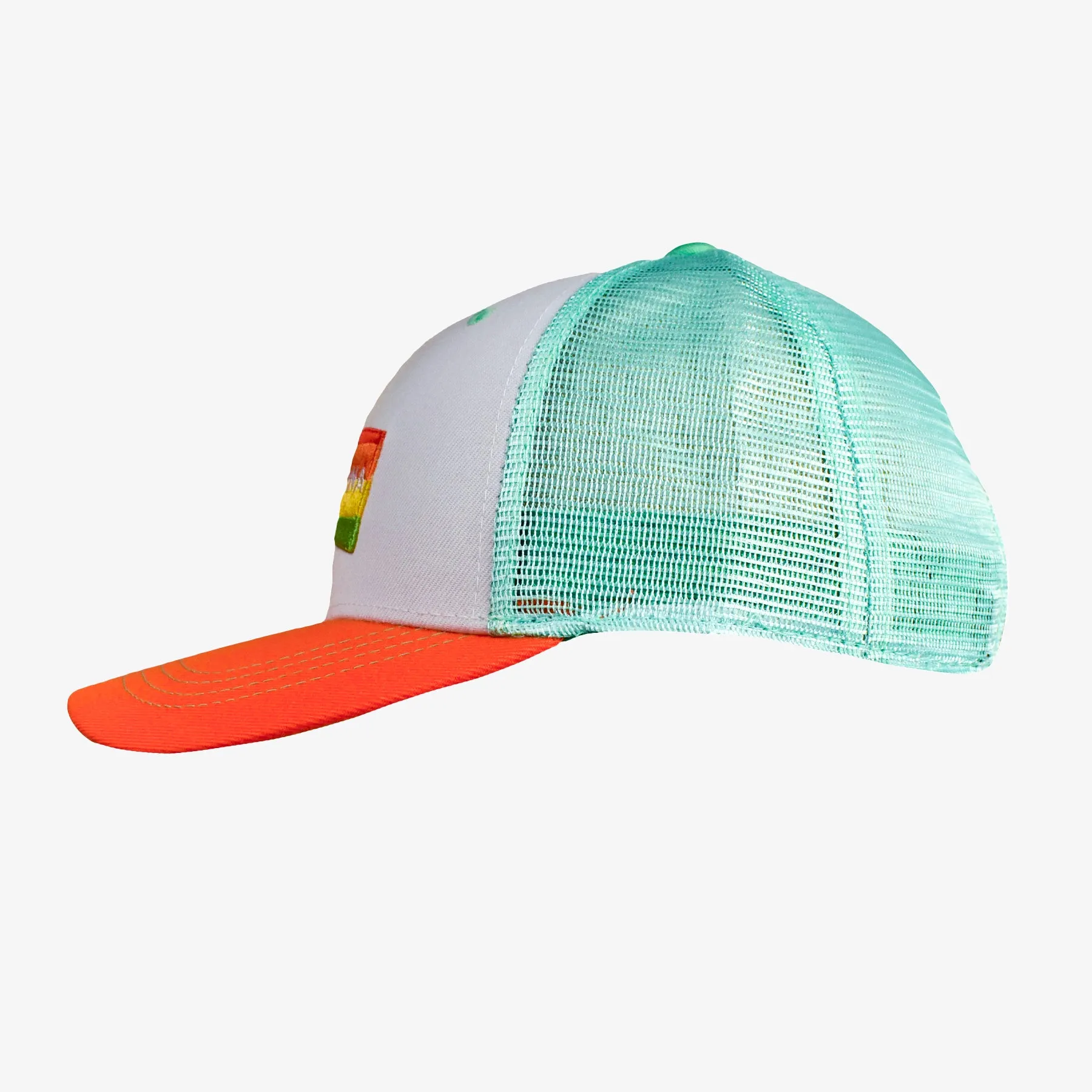 Low Pro Montana Horizons Montana Snapback Hat