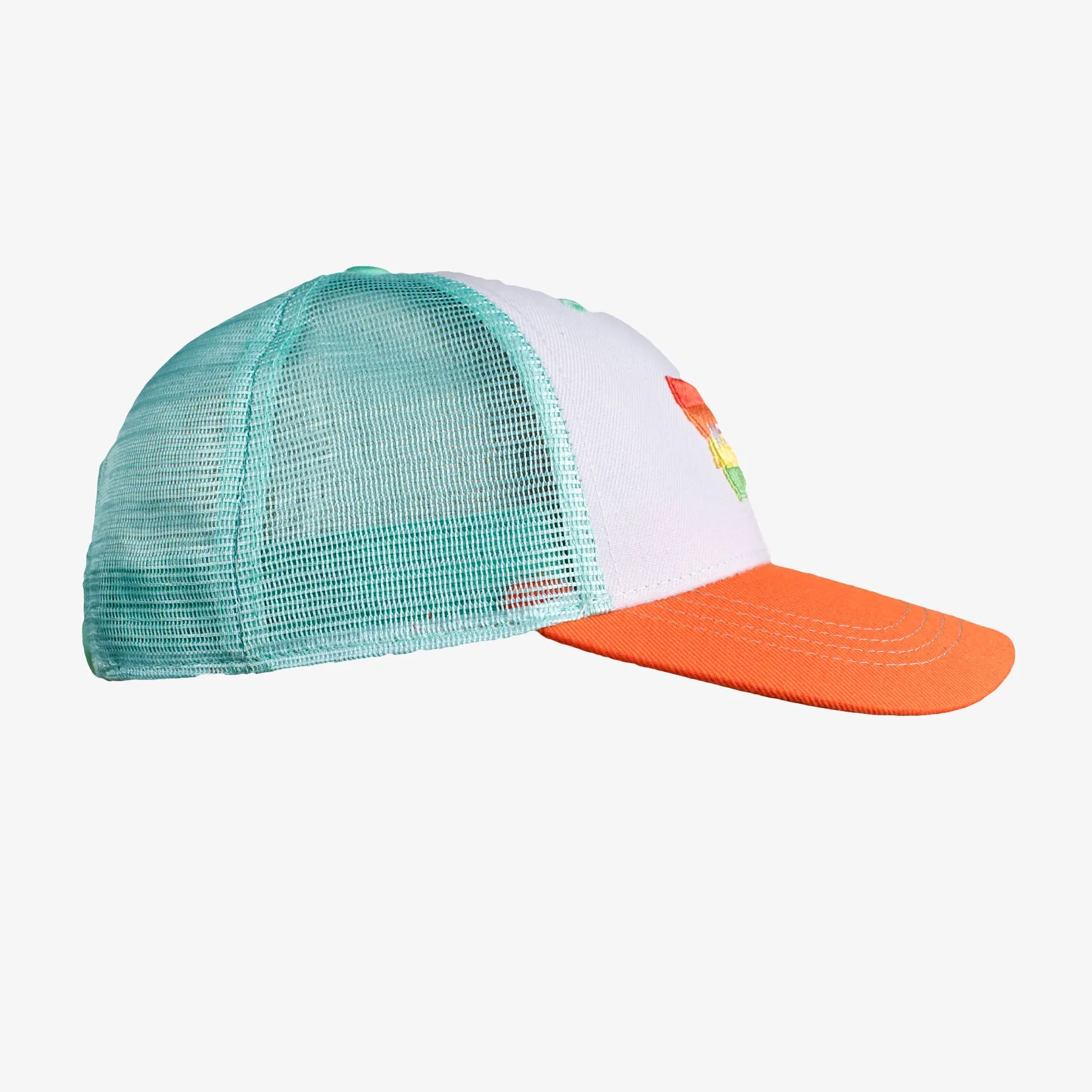 Low Pro Montana Horizons Montana Snapback Hat